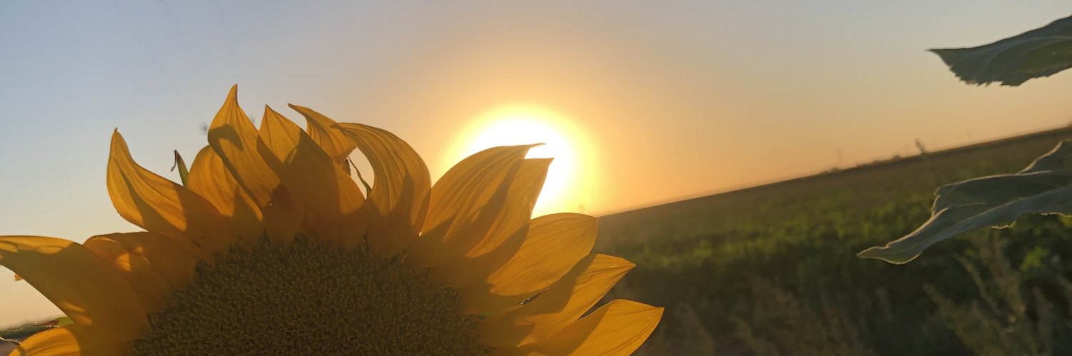 2_iklim's profile banner image