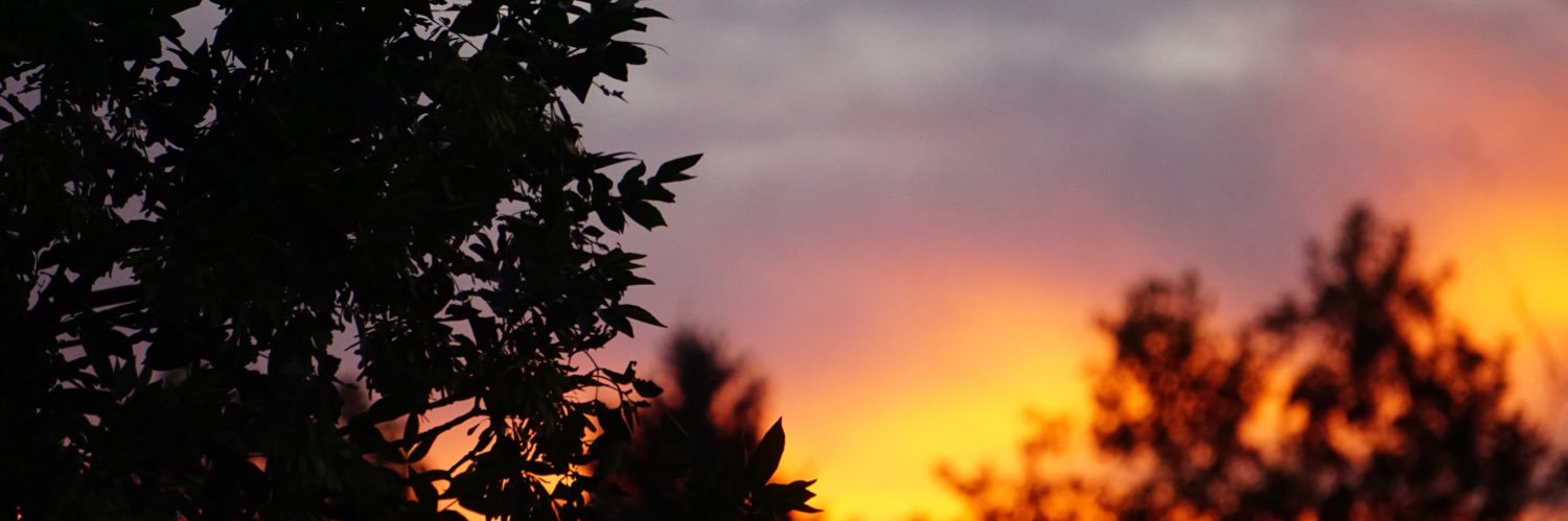 Ncisna3's profile banner image