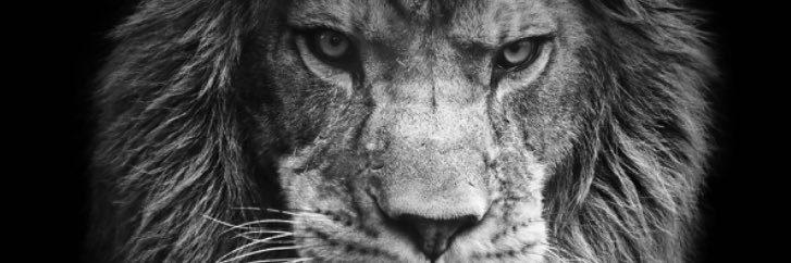 Dillon_Brandt44's profile banner image