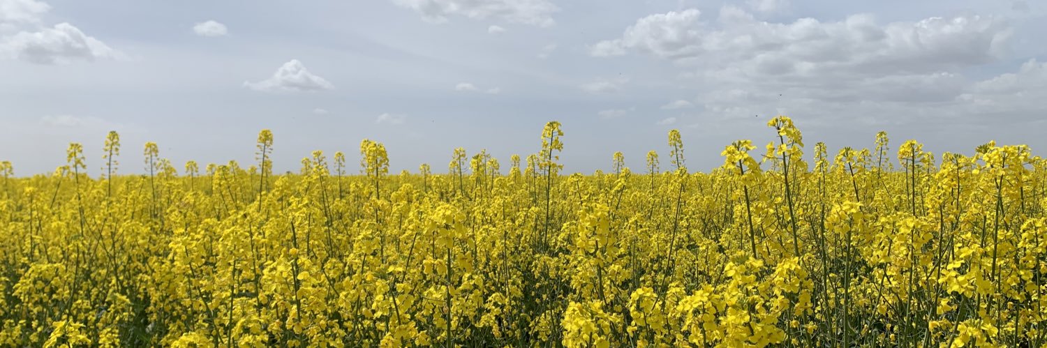 Ольга Мария🔻 banner