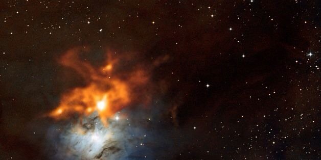 #قطط_مفقودة banner