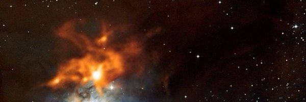 MissingCats_sa Profile Banner