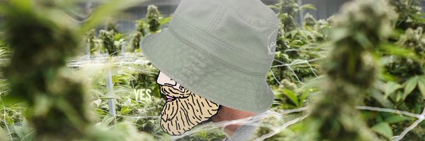 anon_autist Profile Banner