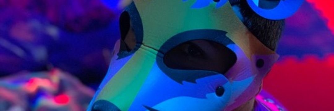 Hyper 🔜 Puppy UK elections banner