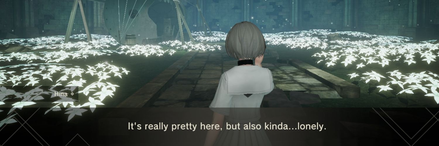 Ipomoea, like the flower genus banner