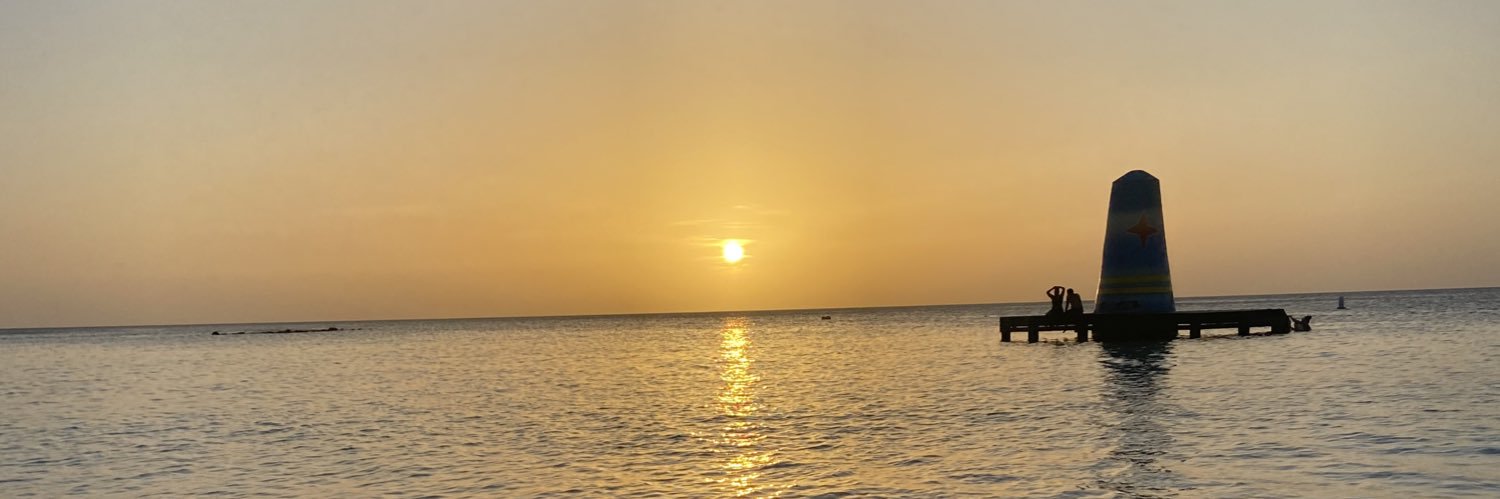 flopiaubrit's profile banner image
