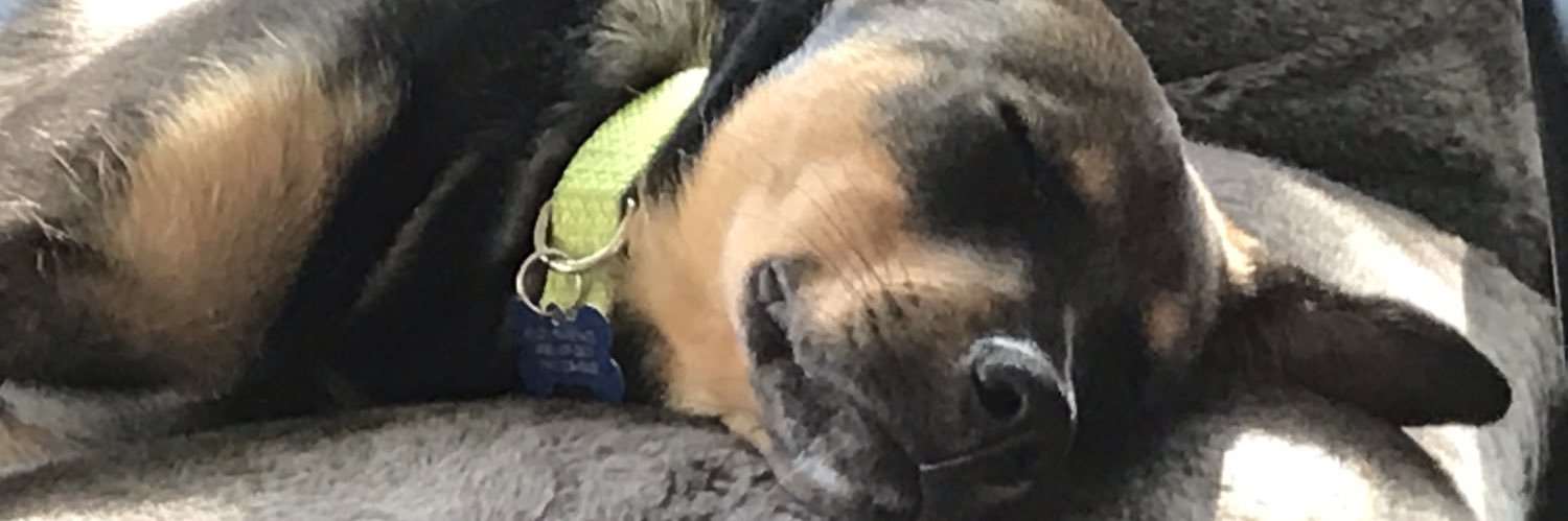 mtndewey79's profile banner image