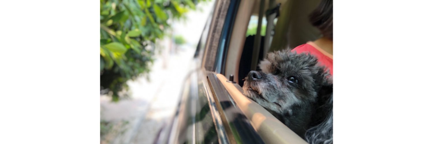 arelibeso's profile banner image