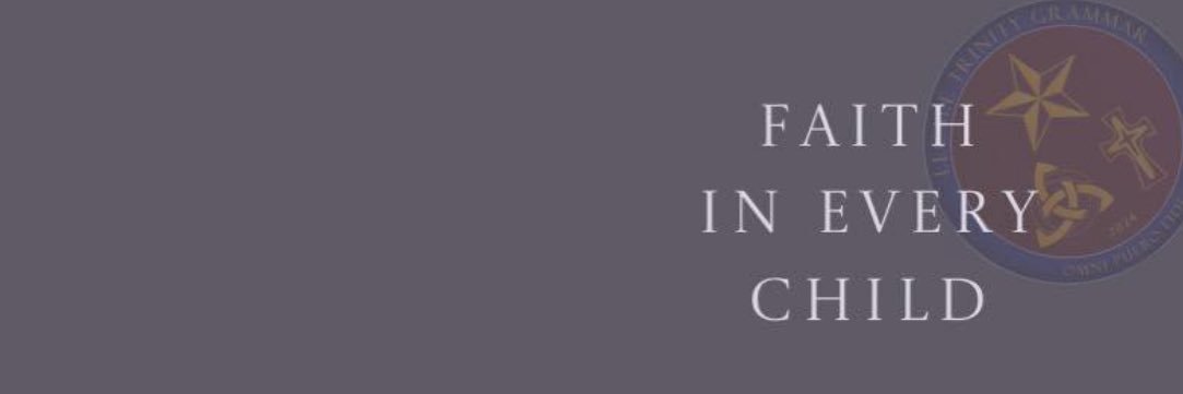 Lecale Trinity Grammar banner