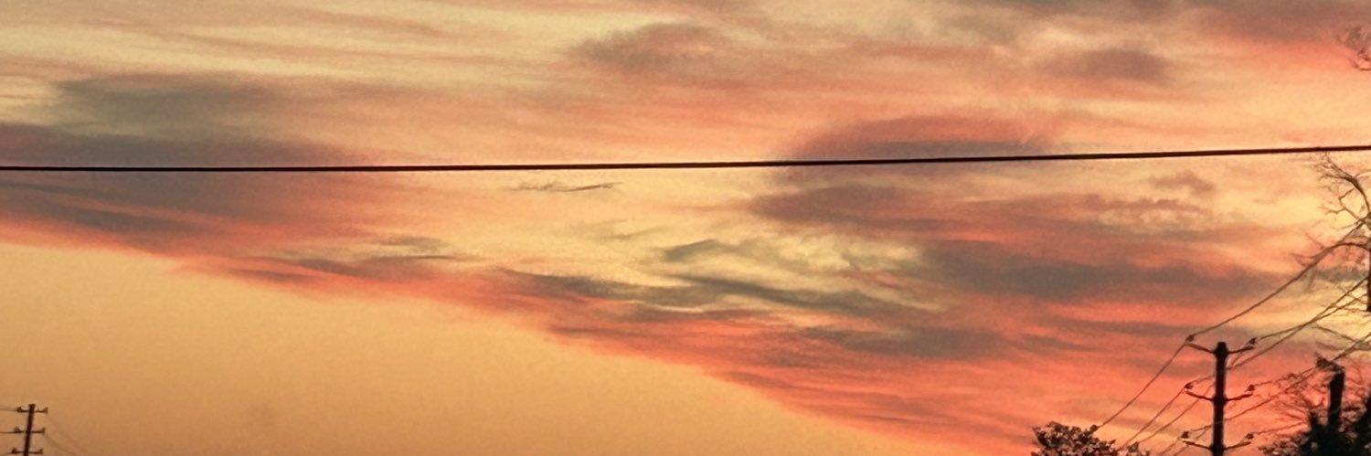 princess_L69's profile banner image