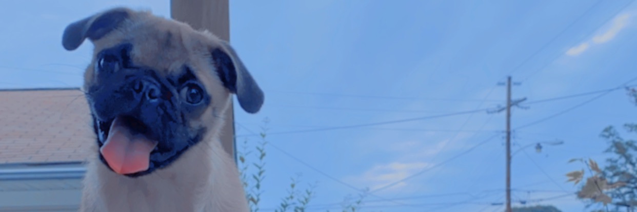 alisuhhh_'s profile banner image