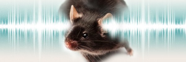 ENNI_IIBM_CSIC Profile Banner
