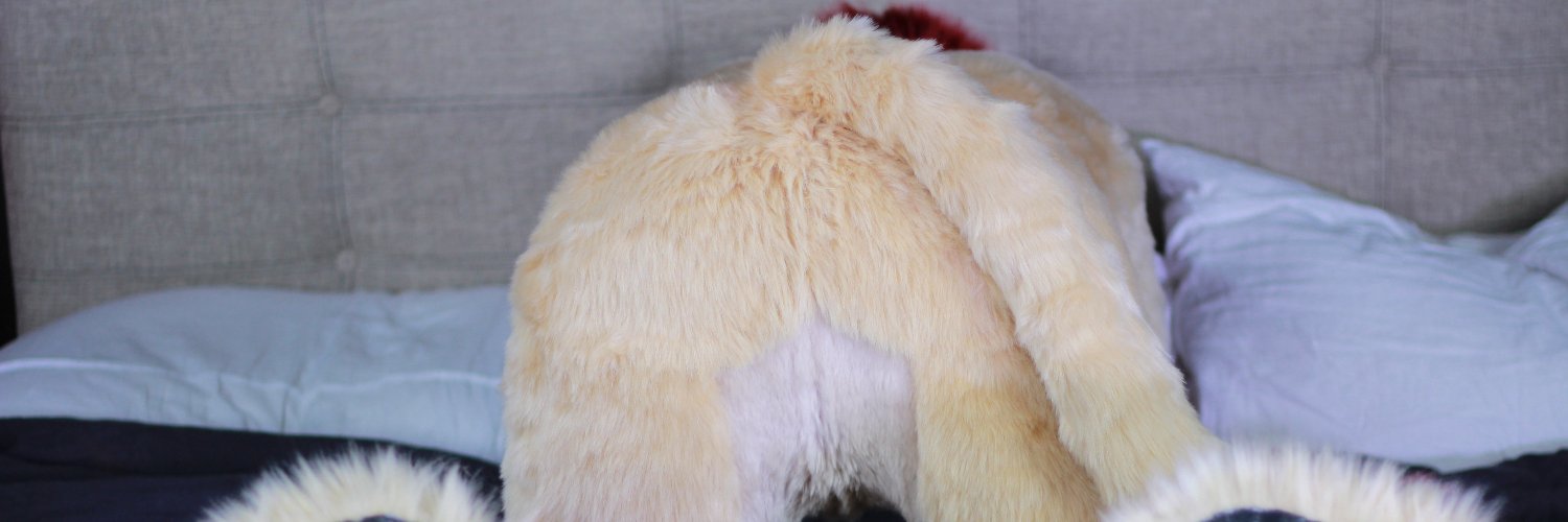 knotsimba's profile banner image