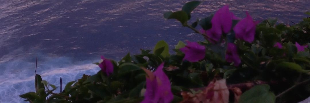 gita 🍉 (irl version) banner