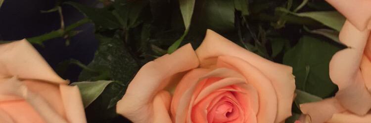 jauremerald's profile banner image