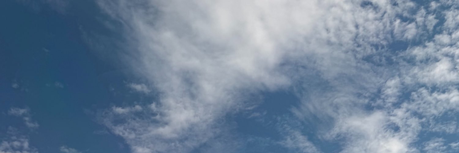 linaloback's profile banner image