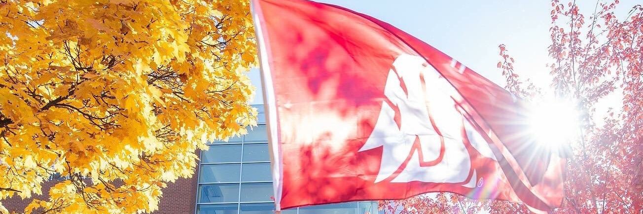 LexiScotson's profile banner image
