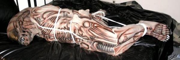 ScubaCCS / Rocket_Pup / X-274A banner