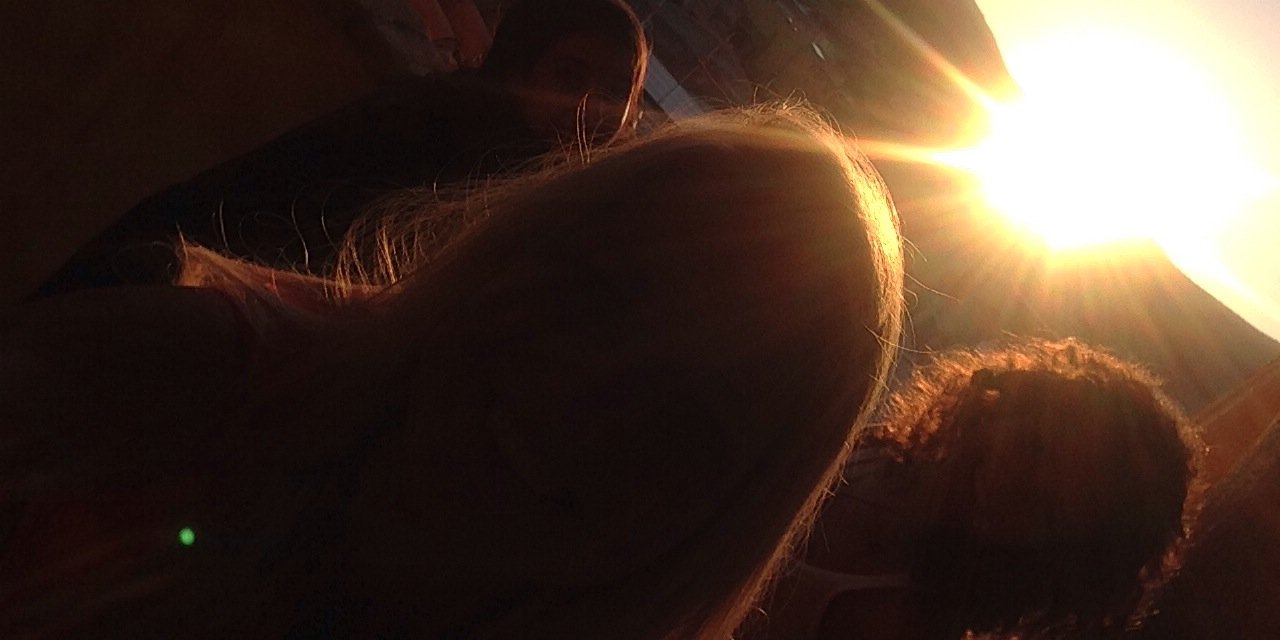 Adelaide Crespi banner