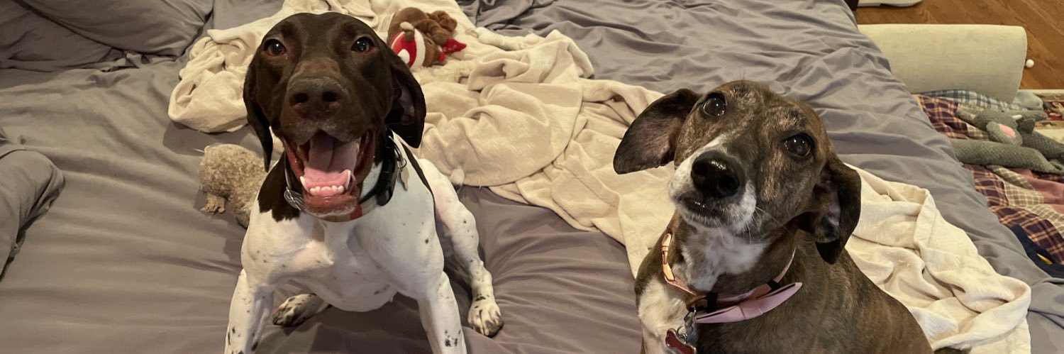 Brian Ellison banner