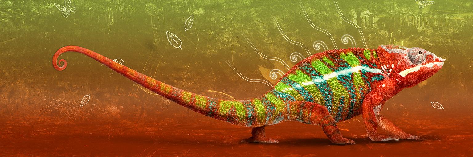 YeneryRD's profile banner image