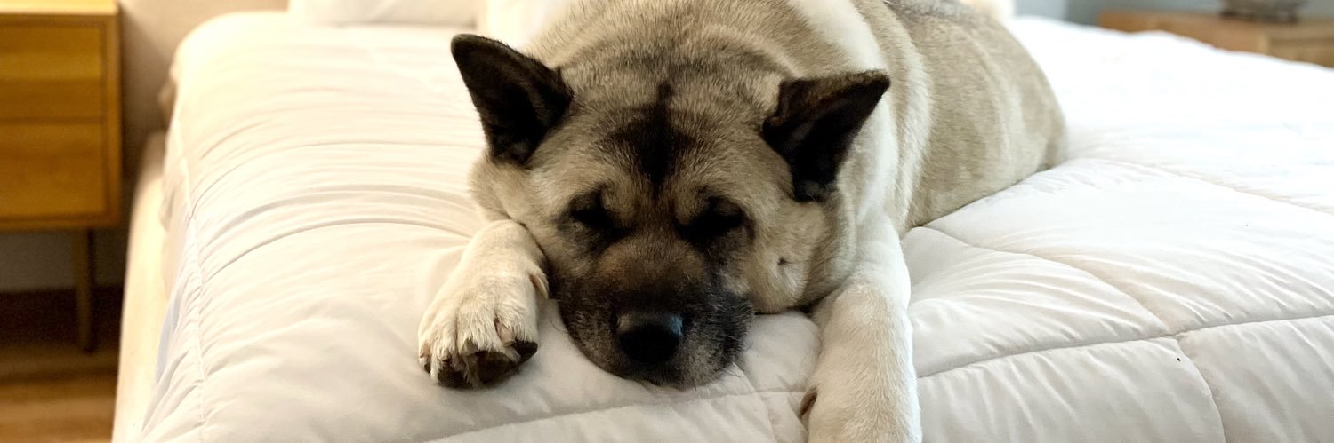 QueenWally's profile banner image