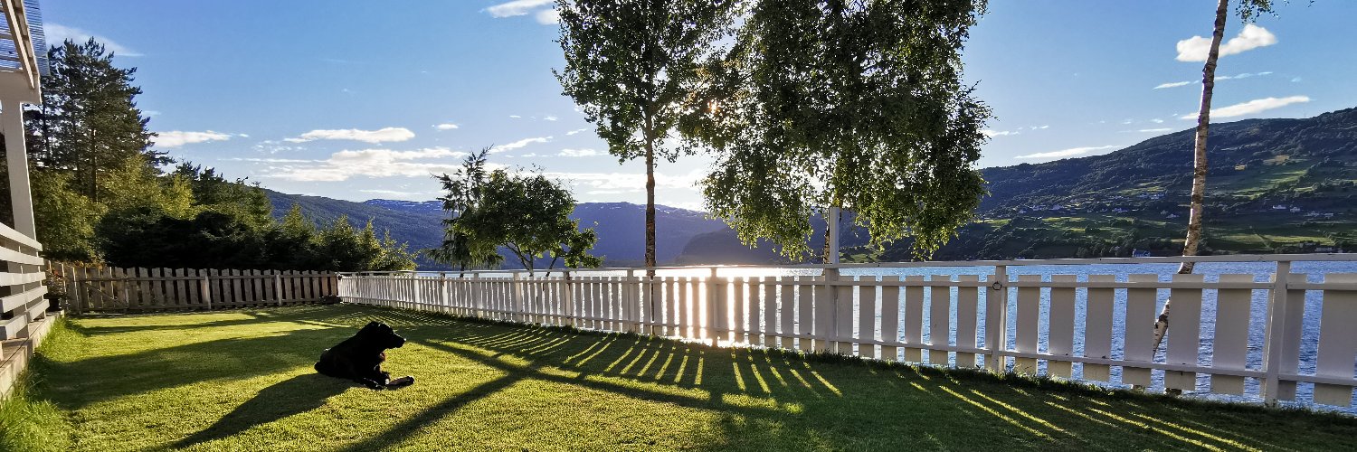 Hilde G. Corneliussen banner