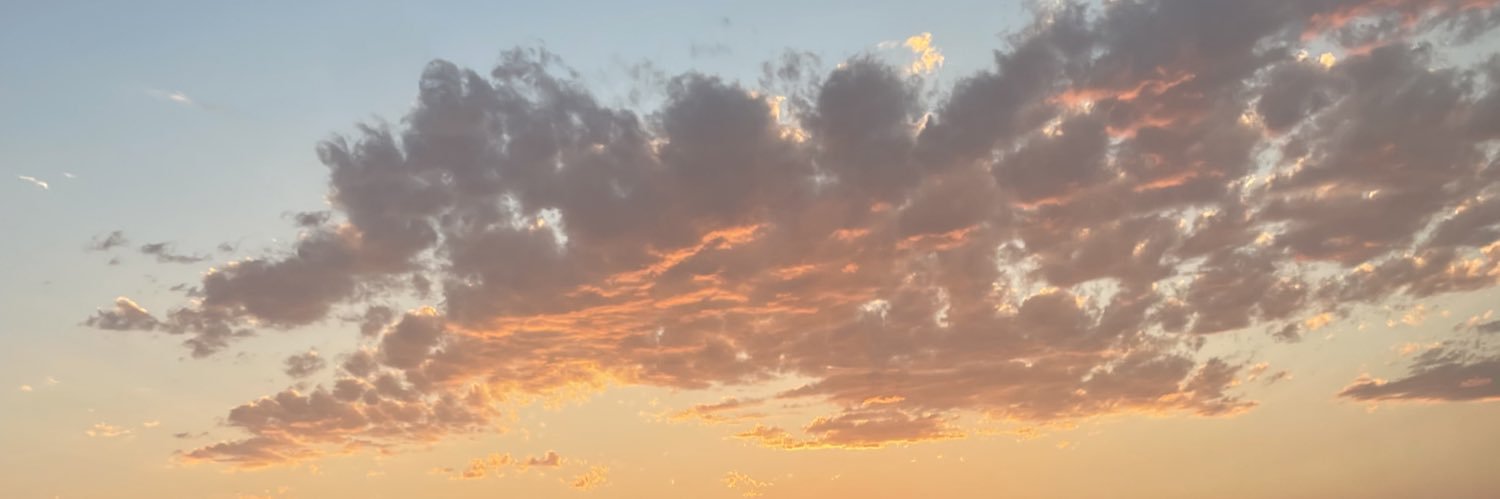 cydneyj602's profile banner image