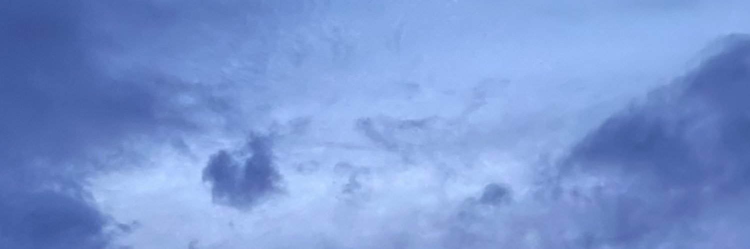 🍎ちゃん banner