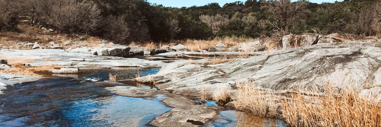 The Land Steward Podcast banner