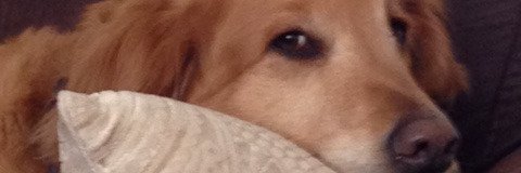 burkedon's profile banner image