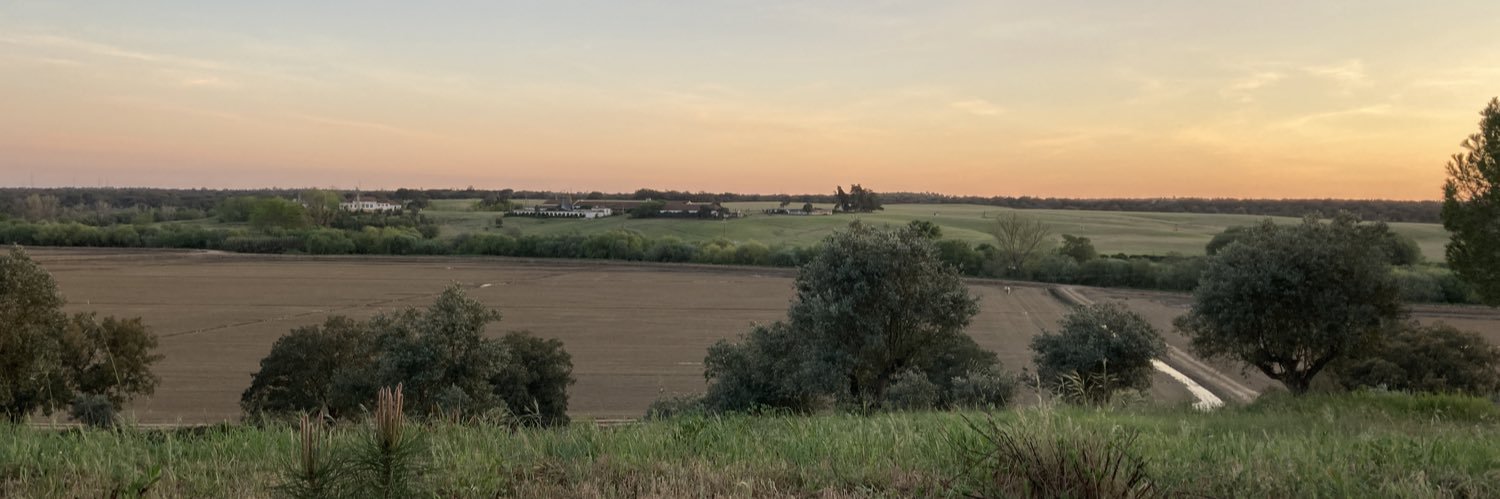 Cristina kicking Long Covid 🍉 banner