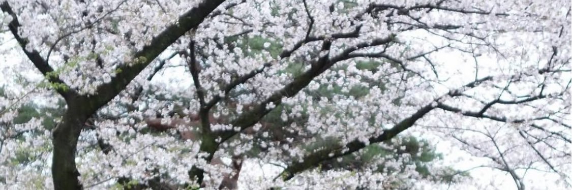 🎀໒꒱· ﾟ banner