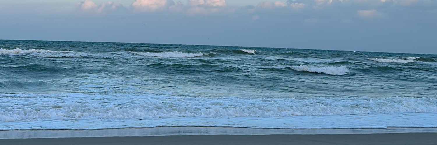 dyanavpm's profile banner image