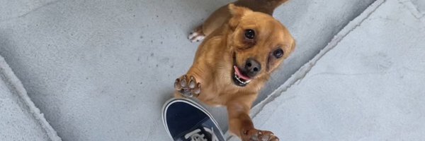 _DevonWebb_ Profile Banner