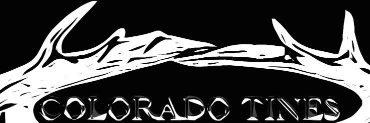 ColoradoTines's profile banner image