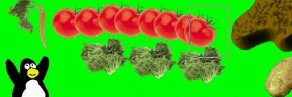 INTZ leeneexusah banner