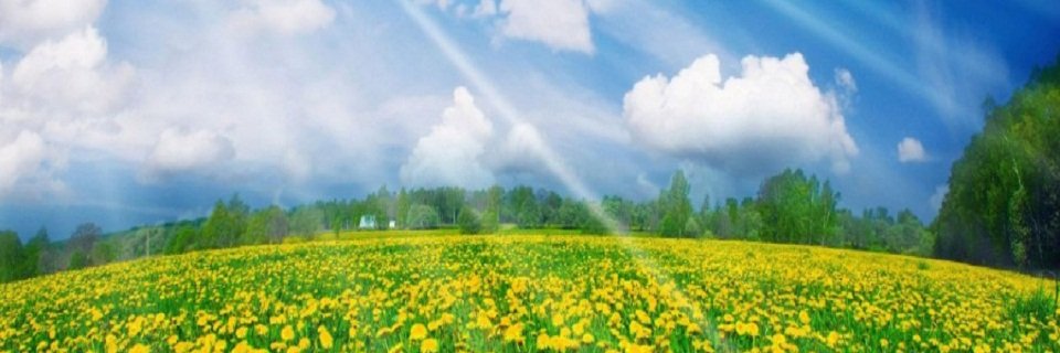 nestor hernan banner