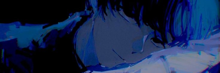 MajuuDucks's profile banner image