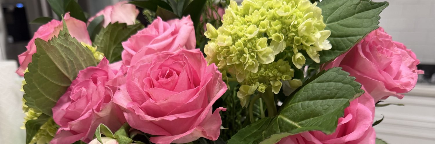 kim🦩🏖️ banner