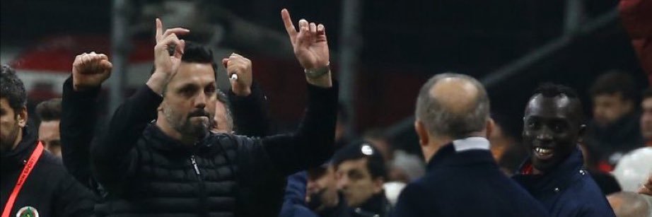 Tedescomaxxing banner