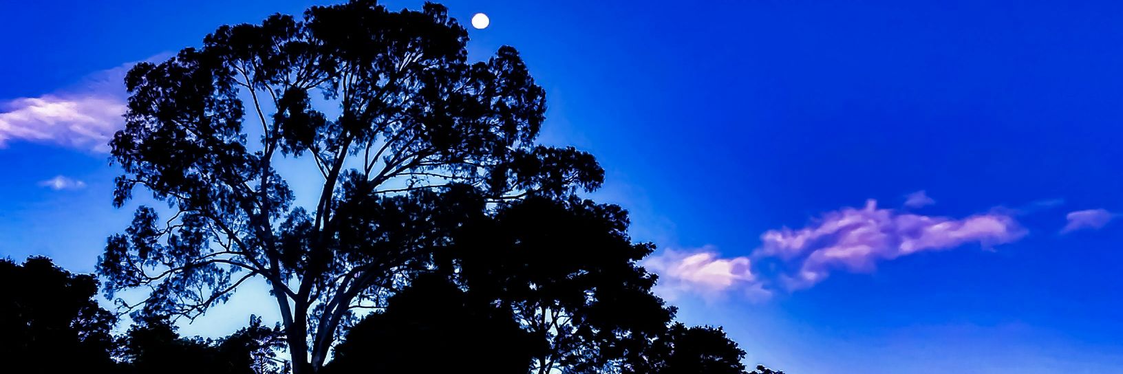 yoan212's profile banner image