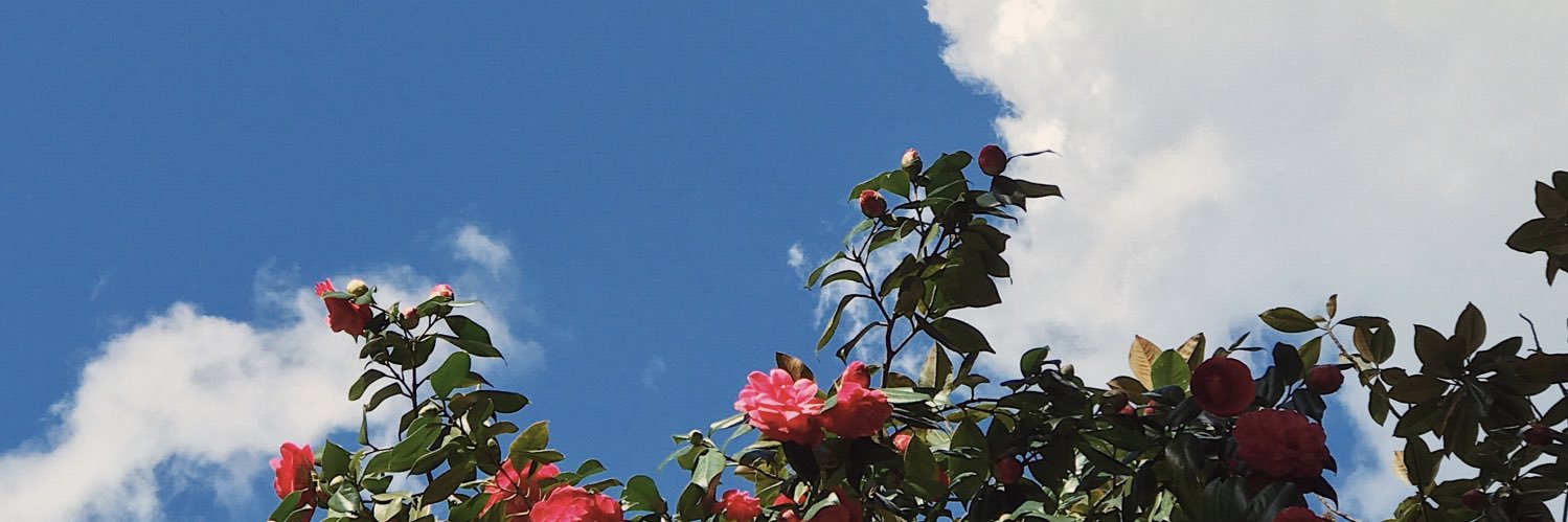 Mouchb's profile banner image