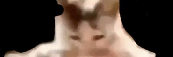 SlimerRT Profile Banner