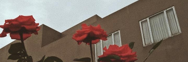 iraaha_'s profile banner image