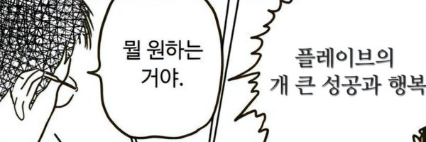 lovable_dolphin Profile Banner