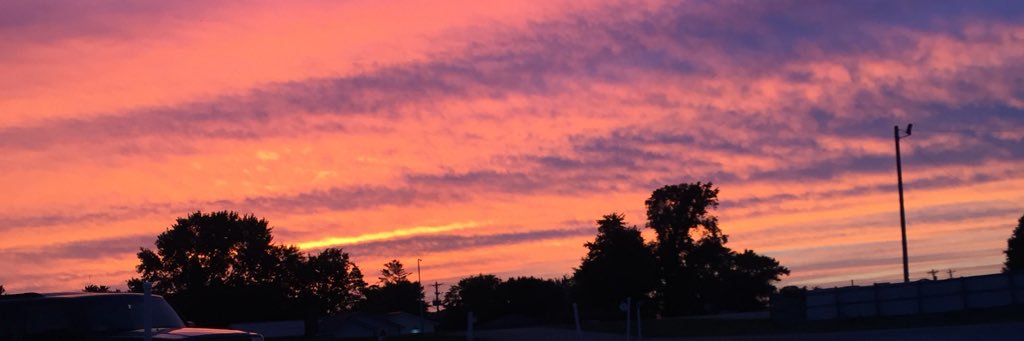 baileynelbach's profile banner image
