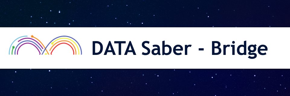 DATA Saber - Bridge banner