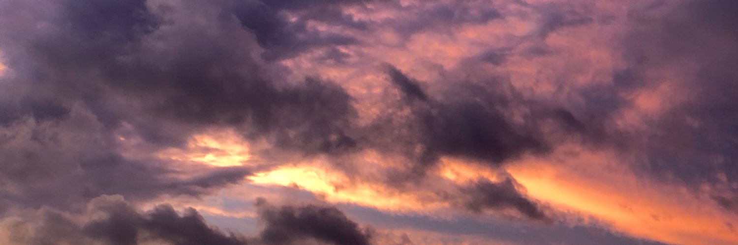 vickyregal's profile banner image