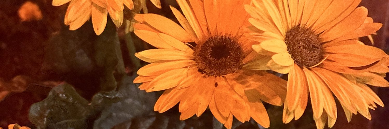 ddd_4x's profile banner image